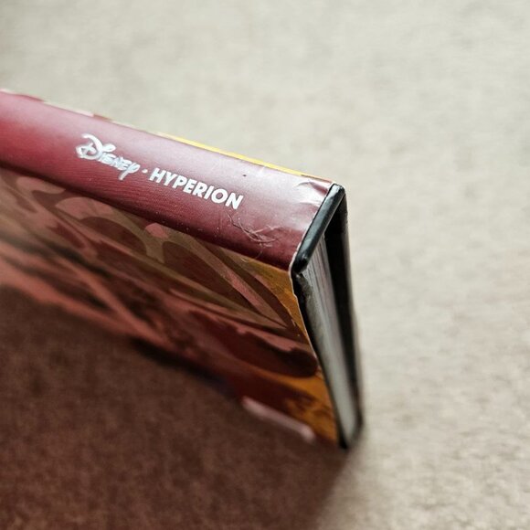 4/$40 Burning Up: On Tour with the Jonas Brothers - Hardcover - Picture 8 of 10